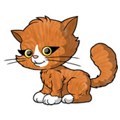 Nifi